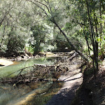 Continuing along Carroll Creek (133657)