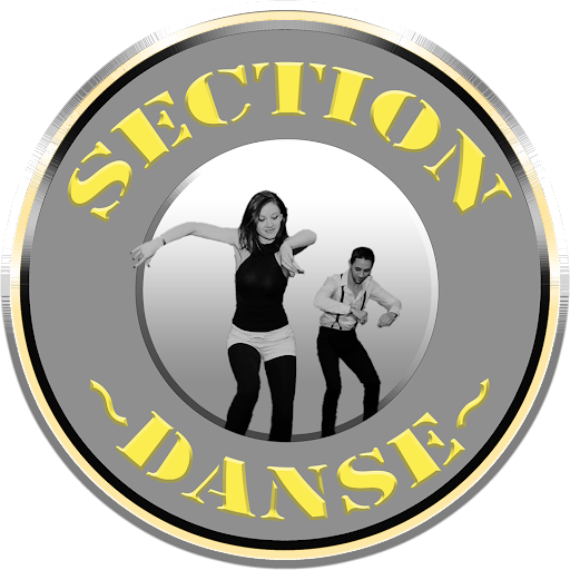 Section Danse logo