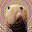 Fudge Racoon's user avatar