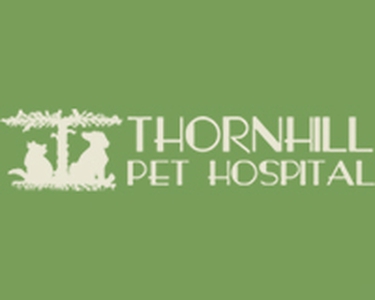 Thornhill Pet Hospital logo