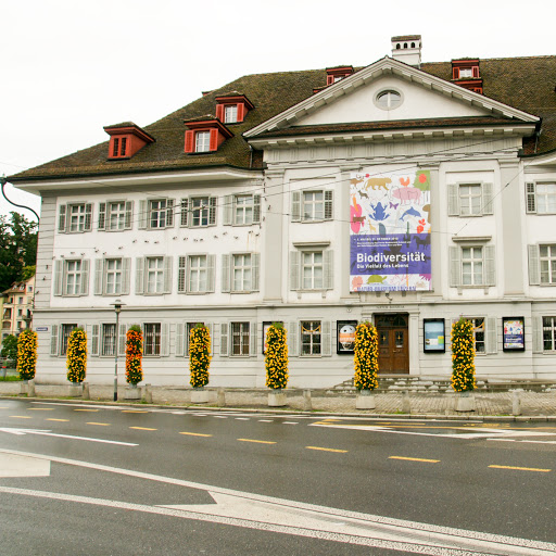 Natur-Museum Kanton Luzern logo