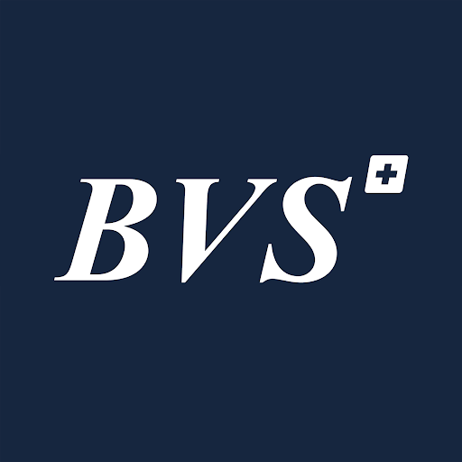 BVS Business-School Bern logo