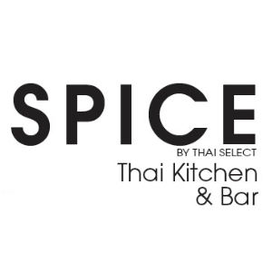 Spice logo