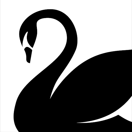 Black Swan Salon