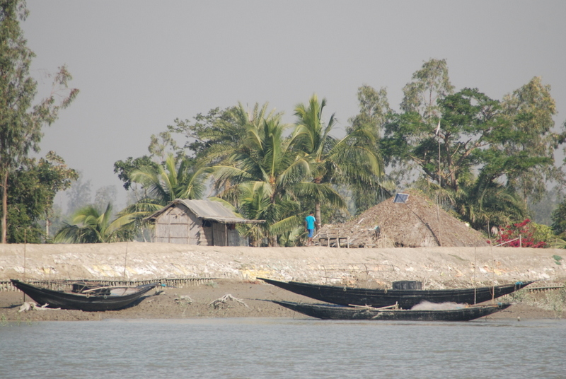 Sundarbans y Bangalore (5-7 de diciembre de 2010) - Infierno Y Paraíso, India Y Maldivas (2010) (22)