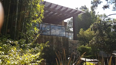 Photos of Loto Azul