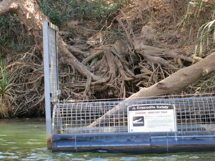 Kakadu-Katherine Gorge-Litchfield NP del 15 al 20 de Agosto de 2012 - Australia de costa a costa (22)