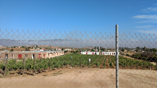 Finca Koochaege, Km. 86, Carretera Tecate- Ensenada, 77500 Valle de Guadalupe, B.C., México, Alojamiento en interiores | BC