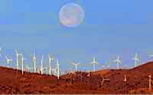 Renewable Energy Set To Surge