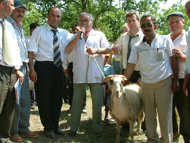%25C3%2587avu%25C5%259Fk%25C3%25B6y%2520...4%2529.JPG