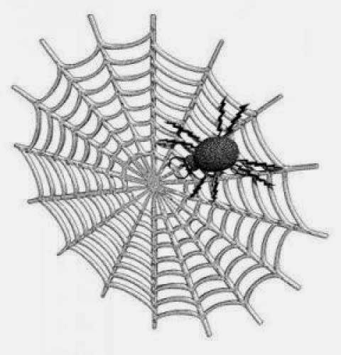 Arachnophobia An Illogical Fear Of Spiders You Can Quickly Conquer