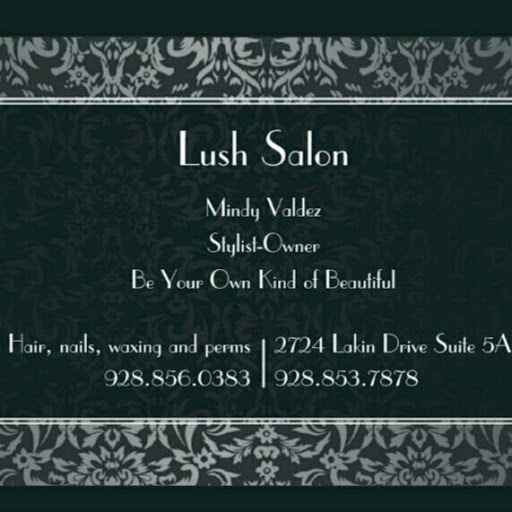 Lush Salon llc logo