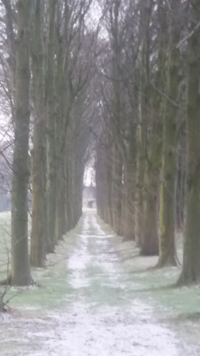 Brabantse Golf vzw