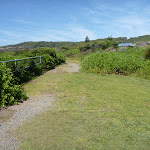 Grassy track near the Caves Beach Lookout (387467)