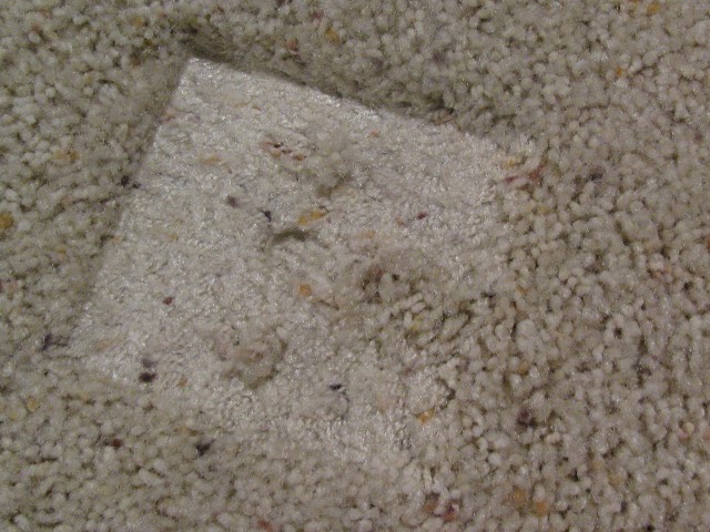Scrappin' Becky B.: Household Tip: How to Quickly Fluff Up Carpet Where ...