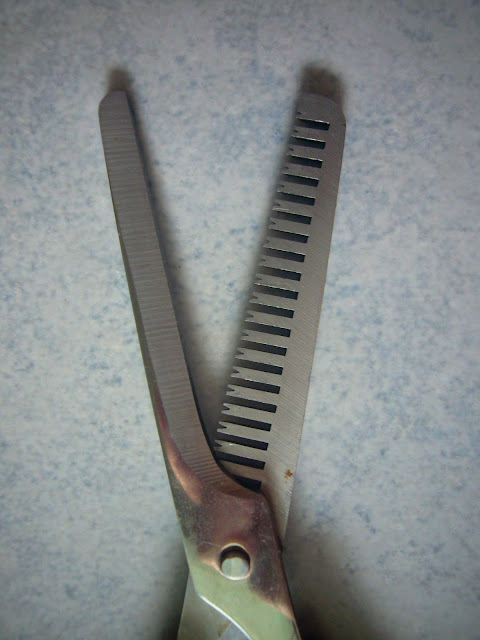 Daiso Haircutting Scissors