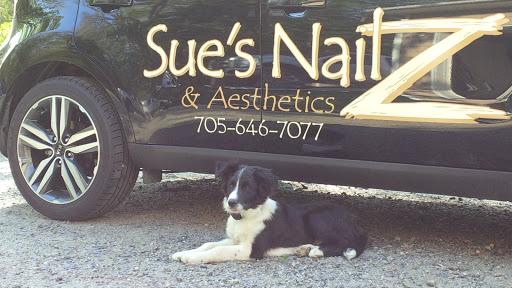 Sue's Nailz & Aesthetics logo