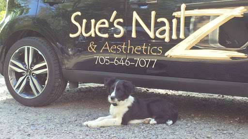 Sue's Nailz & Aesthetics