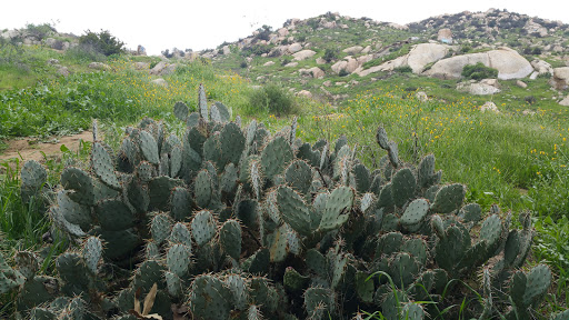 Nature Preserve «Mary Vagle Nature Center», reviews and photos, 11501 Cypress Ave E, Fontana, CA 92337, USA