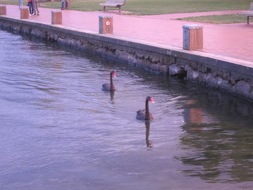 Lac Rotorua