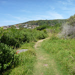 Track near Caves Beach Lookout (387506)