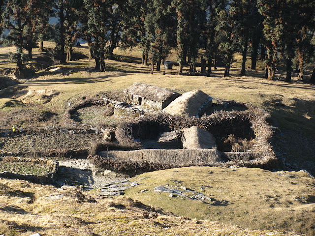 a farm near the bottom