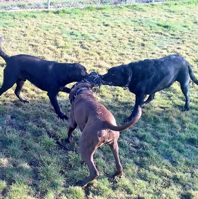 Photos of Donquest on Jessons