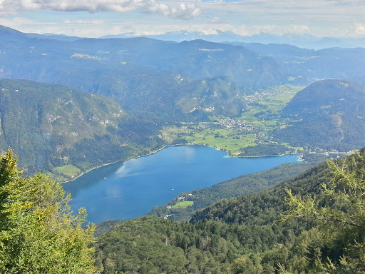 Žičnice Vogel Bohinj, d.d.