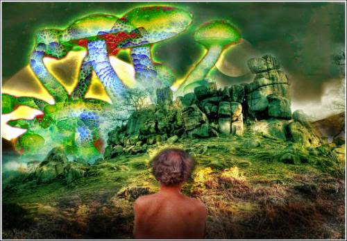 Ecstatic Visions With The Sacred Mushroom R Gordon Wasson