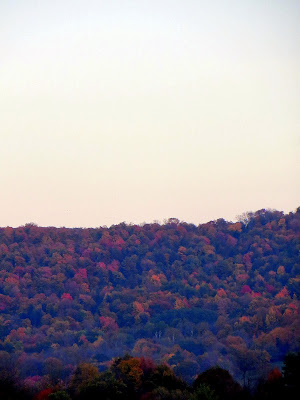 Fall Foliage in upstate New York