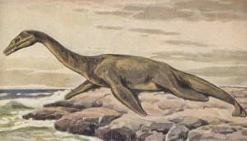 Smithsonian Com On Loch Ness Monster And Yeti
