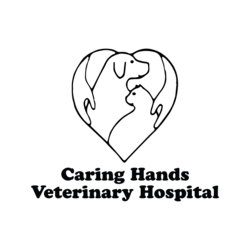 Caring Hands Veterinary Hospital, A Thrive Pet Healthcare Partner logo