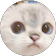 P M P M