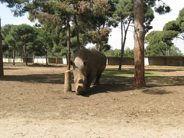 Израиль ранней весной.