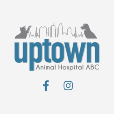 ABC Veterinary Hospital San Diego Uptown logo