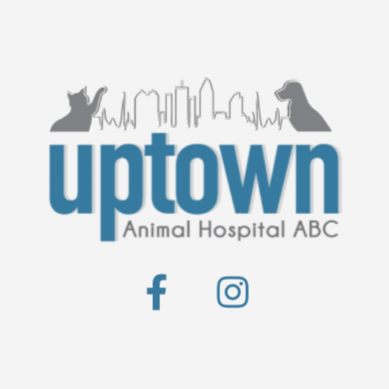 ABC Veterinary Hospital San Diego Uptown