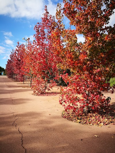 Photos of Parque St Cugat