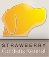 Strawberry Goldens Kennel