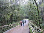 Bridge crossing along Aptos Creek Rd soon after George's Picnic Area