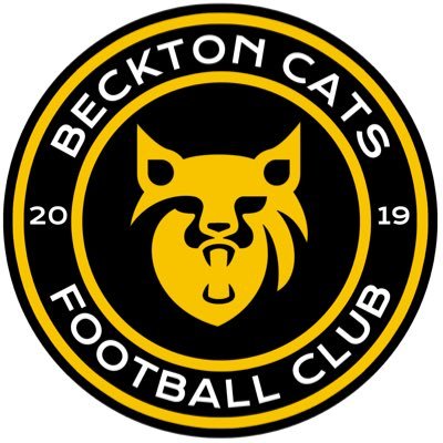 Beckton Cats Youth Football Club