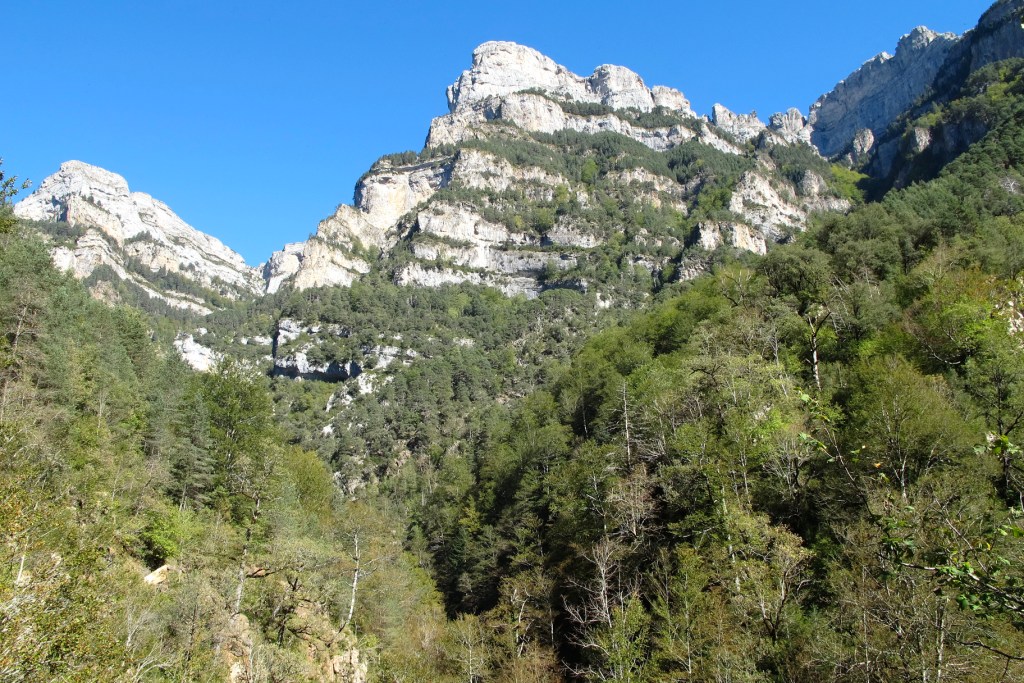 Cañón de Añisclo en Pirineos
