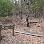 Light to Light track split near Bittangabee bay (108040)