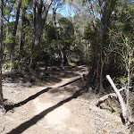 Bournda Lagoon Track (105577)