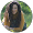 Dana Rasta