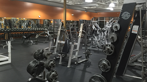 Gym «Powerhouse Gym», reviews and photos, 1298 W Bagley Rd, Berea, OH 44017, USA