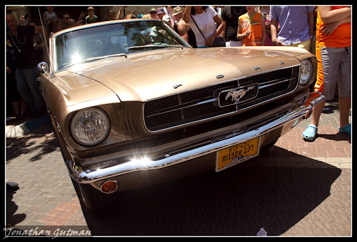 IMG_4856.jpg