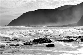 Picasa