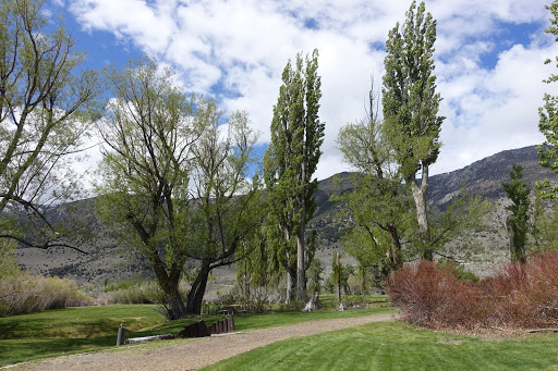 Mono Lake Park