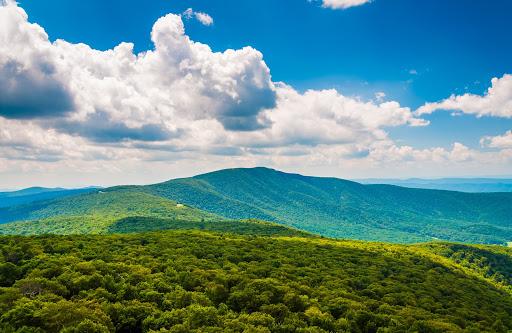 Mountain Ridge компания