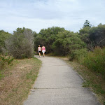 Foot path through coastal forest on the Owens Walkway (391142)